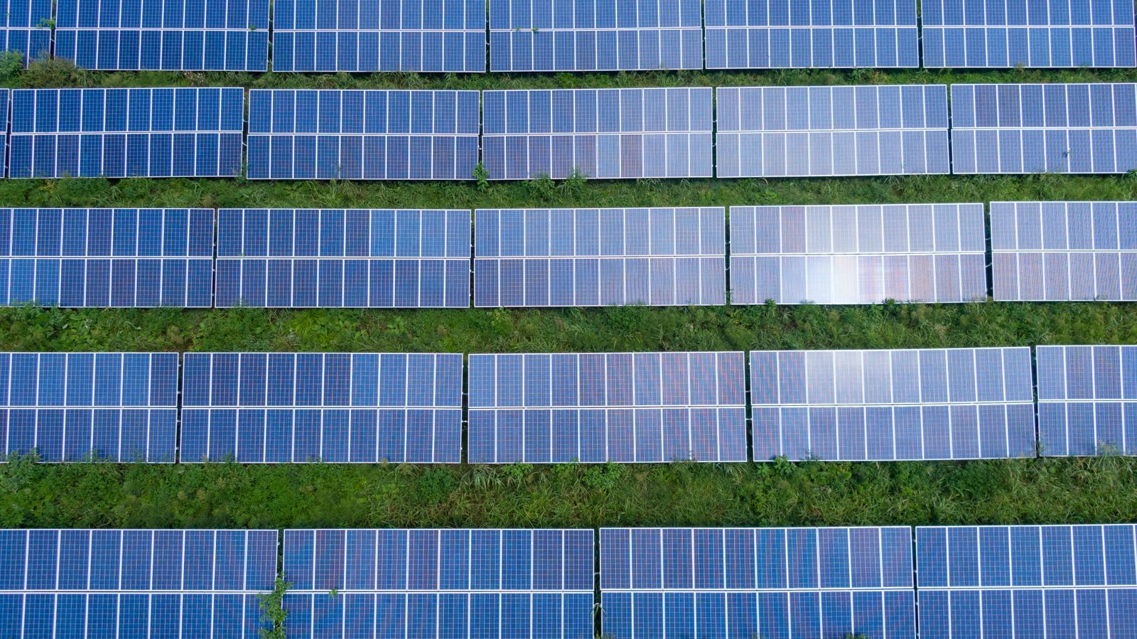 Aerial view of long rows of solar panels capturing the sun